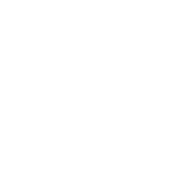 St. Louis University