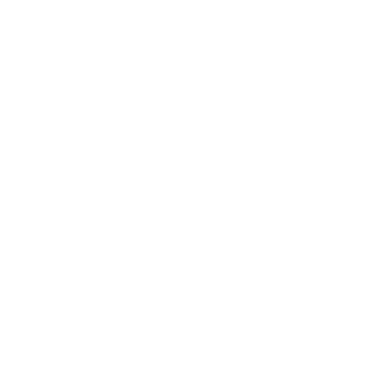 Viztek logo